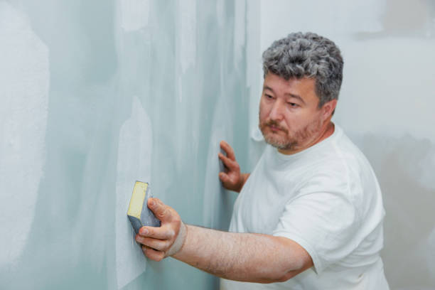 Best Emergency Mold Remediation  in USA